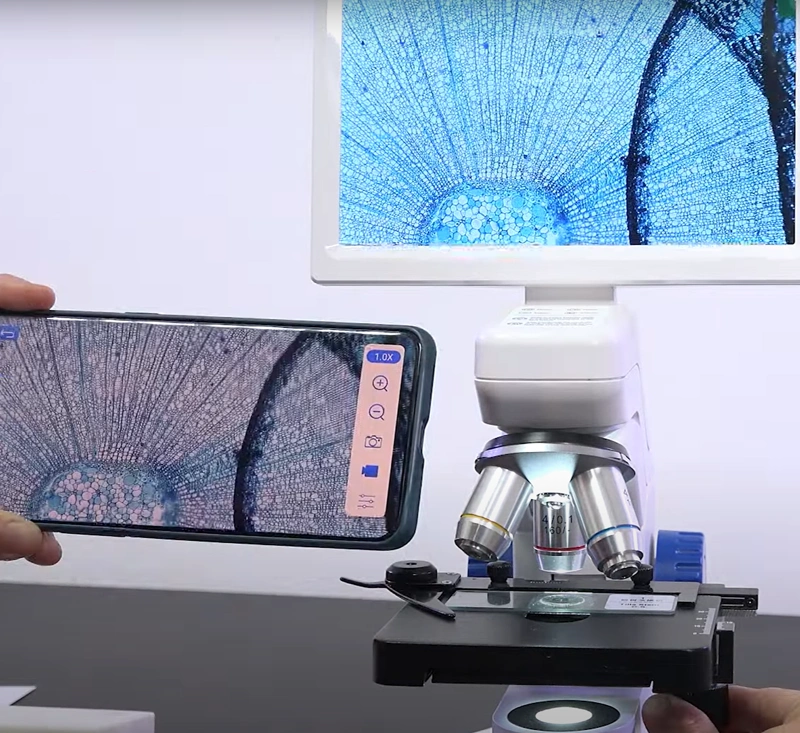 Microscopio Digital 7 mobile phone