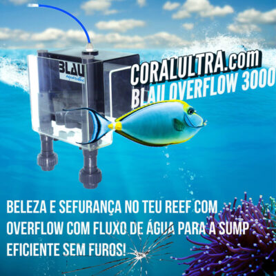 Blau overflow-3000