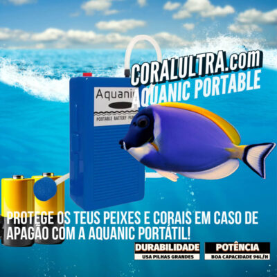 Bomba de ar portatil-1