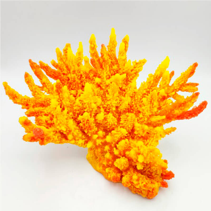 acropora-palmata-red-yellow acropora-palmata-red-yellow