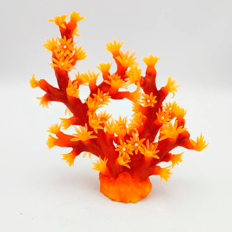 turbastrea-micrantha-orange