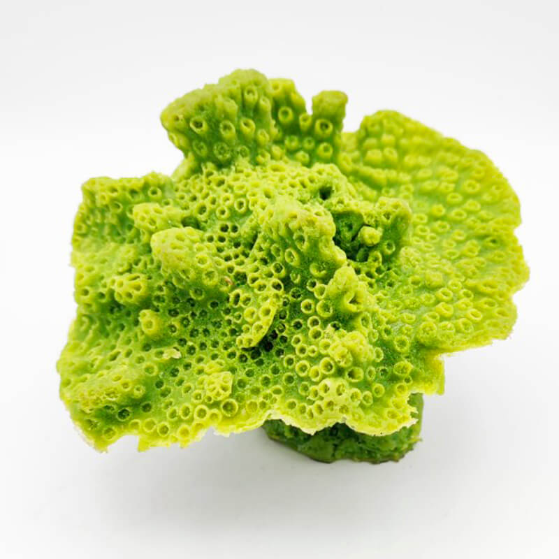 turbinaria artificial coral