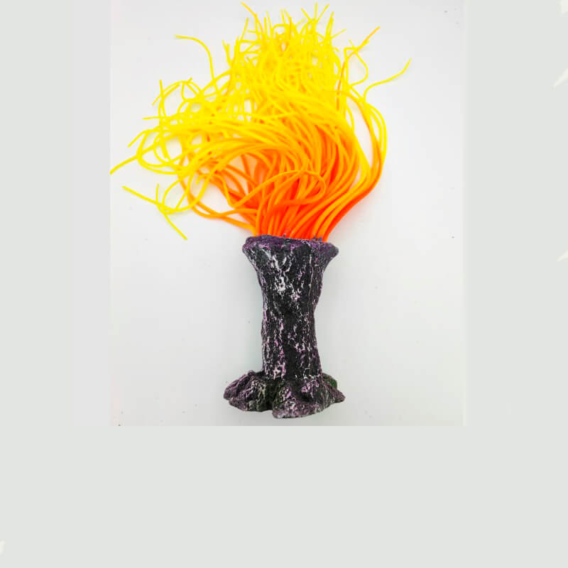 cerianthius-fire (1)